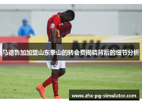 马德鲁加加盟山东泰山的转会费揭晓背后的细节分析