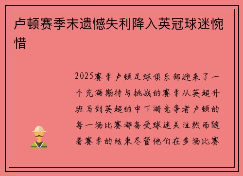 卢顿赛季末遗憾失利降入英冠球迷惋惜 卢顿赛季末遗憾失利降入英冠球迷惋惜