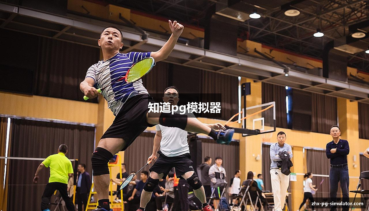 知道pg模拟器